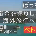 退職金を握りしめてぼっち海外旅行〜２、３日目ハロン湾へ〜、ベトナム🇻🇳