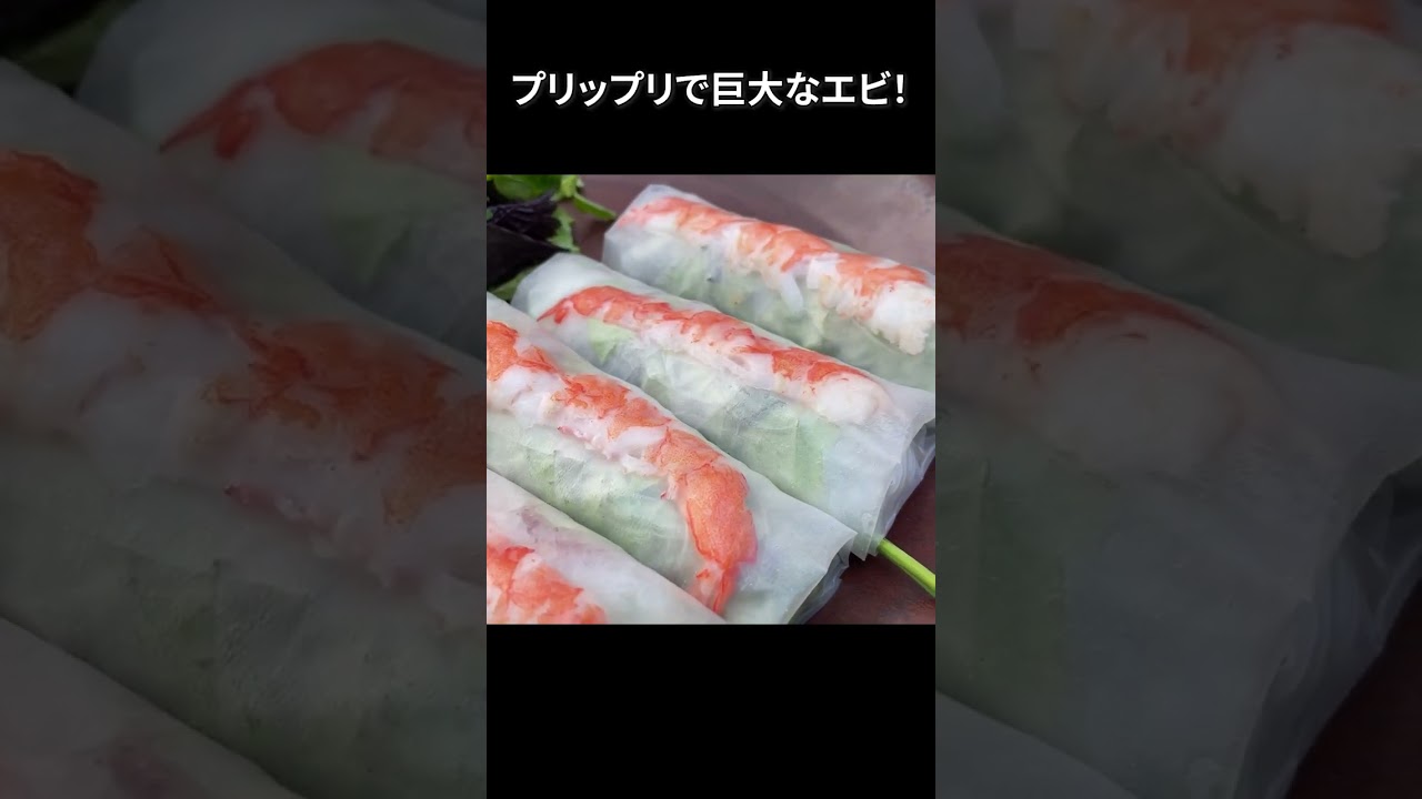 巨大エビの生春巻き!? インスタ映え必至なハノイのお洒落レストラン【Hanoi Garden】#shorts