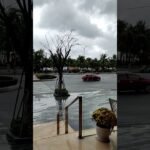 Outside my Hotel in Danang ❤️🍃