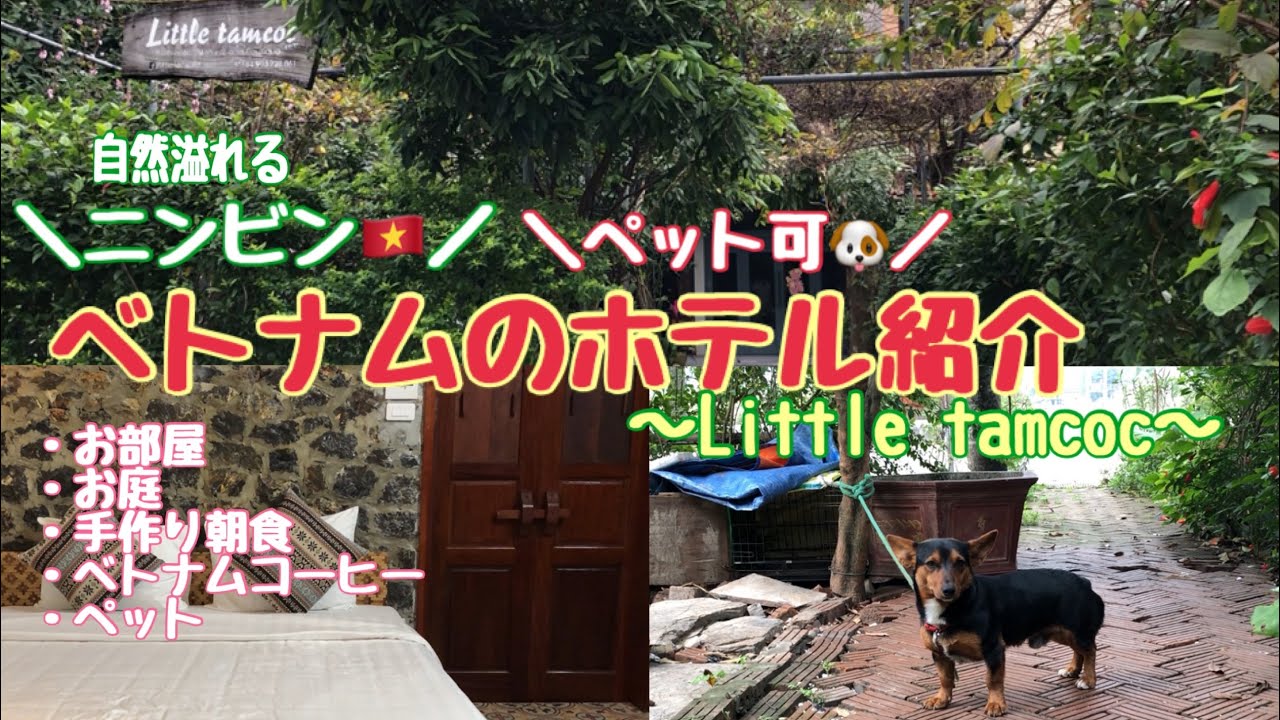 【ベトナムホテル紹介】ニンビン省タムコックの現地ホテルツアー🇻🇳