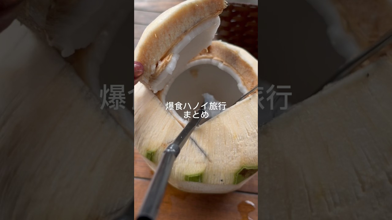 【ベトナム爆食旅行】３泊で食べたハノイ名物まとめ #ベトナム旅行 #ベトナム観光  #ハノイ #ハノイグルメ #ベトナムグルメ#vietnum #vetnamutrip #hanoitrip