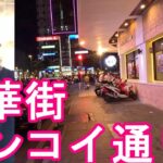 【雑貨屋通り】ベトナム・ホーチミン市街地-ドンコイ通り繁華街！グエンフエ通りの隣！観光通りDongkoi street in Saigon,Vietnam