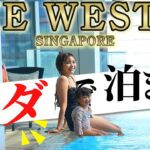 【2歳子連れ旅行Vlog】ウェスティンホテル・シンガポールで無料宿泊。マリーナベイエリアを堪能してきました｜日本人・ベトナム人の国際結婚カップル