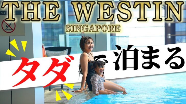 【2歳子連れ旅行Vlog】ウェスティンホテル・シンガポールで無料宿泊。マリーナベイエリアを堪能してきました｜日本人・ベトナム人の国際結婚カップル