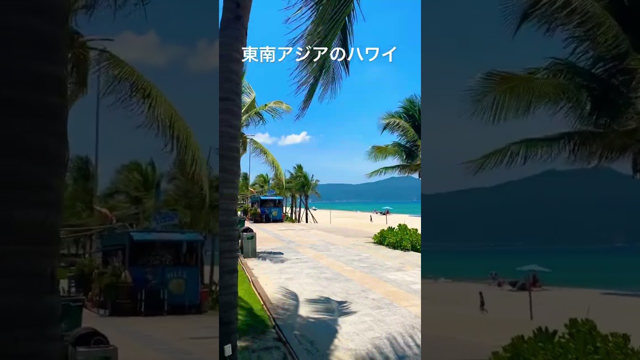 ベトナムダナン　#東南アジア  #ハワイ #アメリカ #海外 #phuket #thailand #ナイトマーケット #バー #パトン #夜 #繁華街 #酒 #2023 #旅行 #旅游