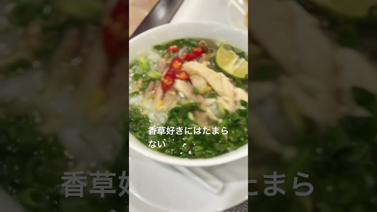 ベトナム旅行 ホテル朝食 #香草 #フォー　#ハノイ #おすすめ #旅行 #Shouts