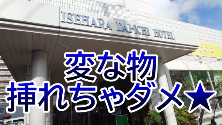 朝食はベトナム料理店　伊勢原第一ホテル～神奈川県伊勢原市～　おすすめビジネスホテル239泊目