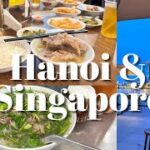 Vlog｜ベトナムとシンガポールへ出張｜ご飯と風景と感じた事をつらつらと…