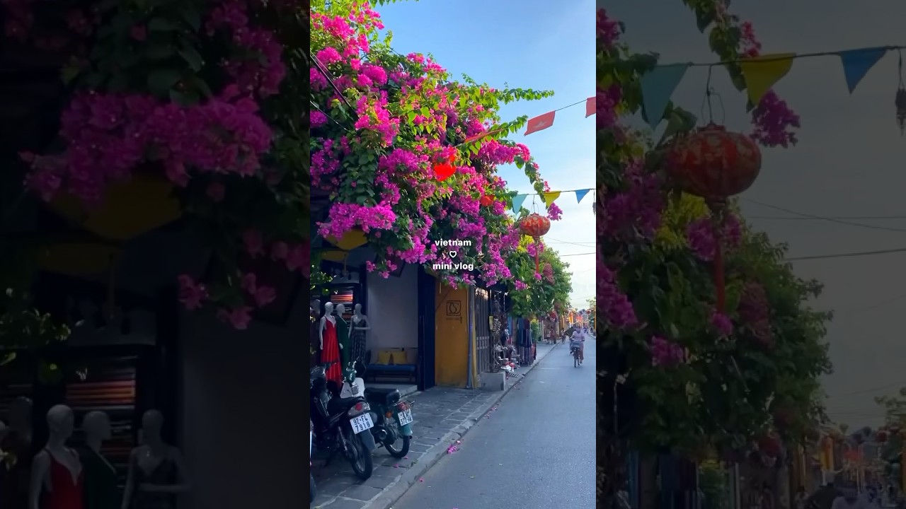 ベトナムひとり旅🇻🇳mini vlog🫶🏻 #ベトナム#ホーチミン#ダナン#ホイアン#ひとり旅