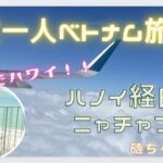 【女一人ベトナム旅①】ANAとベトナム航空利用！ニャチャンへ到着までの様子！成田でぼてじゅう！ハノイの空港内のホテルの様子、国際線から国内線への移動。カムラン空港からニャチャンの街まで…