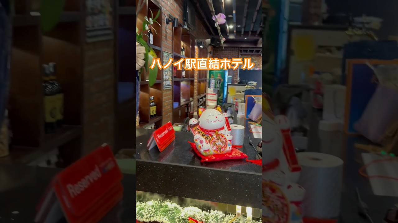 ハノイ駅直結ホテルレストラン🇻🇳招き猫 #ハノイ #ベトナム #ねこ #観光 #クラクション #hanoi #vietnam #việtnam #猫 #ネコ #cat #yoasobi #cats