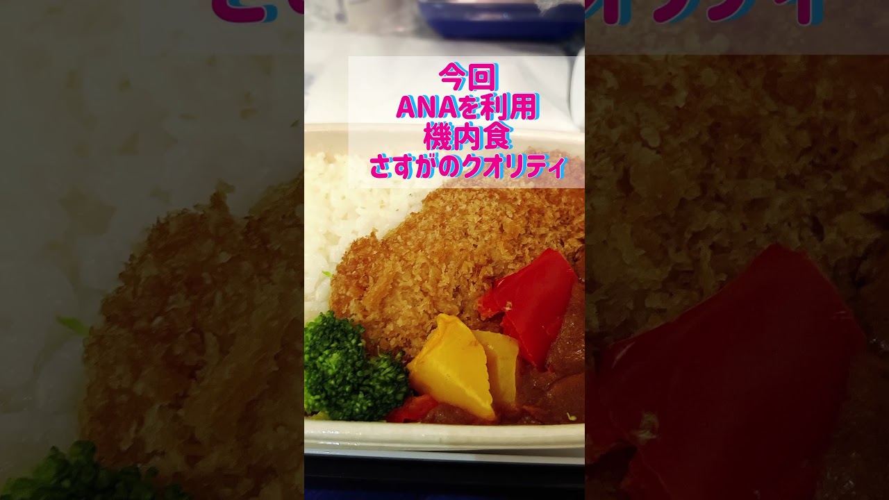 【女一人旅inベトナム！！その①】本編動画ハイライト！チャンネル登録して本編をお待ちくださいませ！！ #djipocket2 #アナウンサー #ベトナム #旅行vlog
