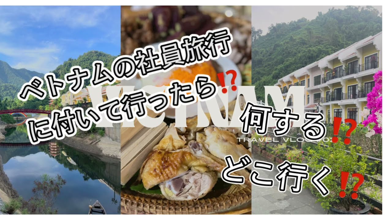 さようなら円安。ホーチミンで超激安な本格フレンチを食べたりするグルメ旅をしたら最高すぎた。