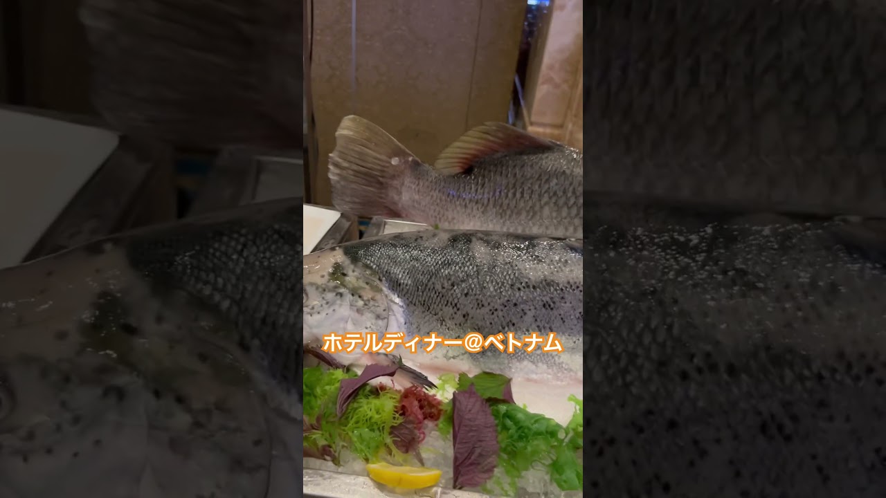 ホテルディナー刺身 サーモン2匹 レモン咥える魚 ベトナム #ホーチミン #刺身 #サーモン #マグロ #ベトナム #魚 #ホテル #salmon #sashimi #việtnam #vietnam
