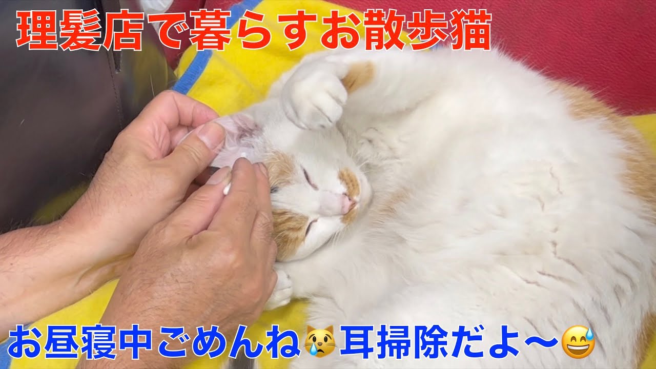 【ホイアン・ベトナム】 ここ知ってたら通です。大混雑の旧市街から逃れた先は？！コスパの良いホテルや、安くて美味しい飲食店もお値段表記でご案内【 HoiAn Vietnam 】