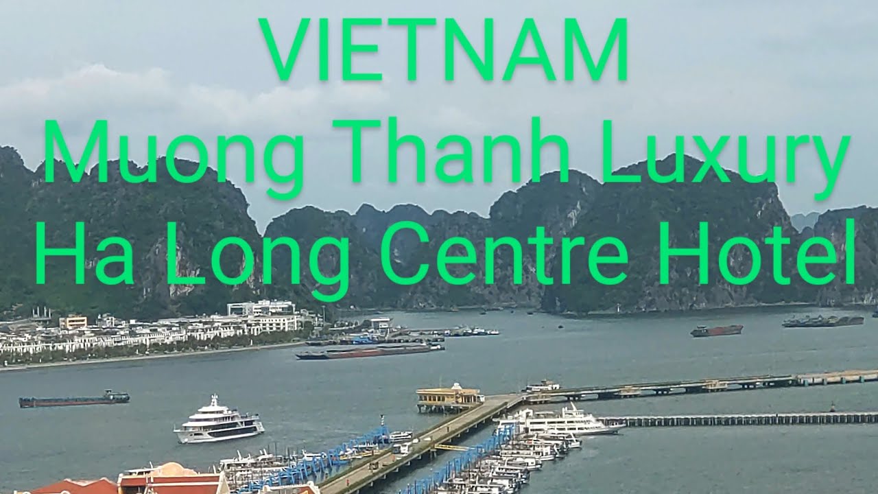 🇻🇳ベトナムハロンMuong Thanh Luxury Ha Long Centre Hotel　7階pool🛟【坪ナンデス】