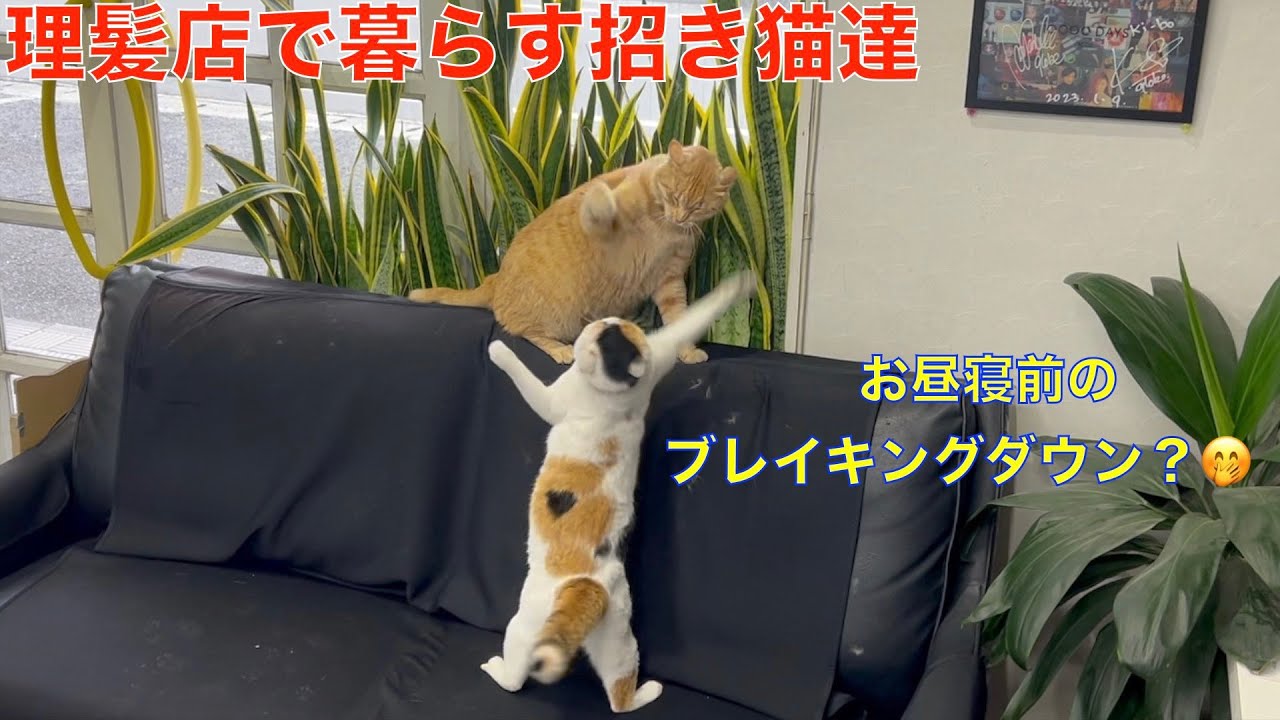 ベトナムリラクゼーション体験138：ホーチミン　新規オープンのラグジュアリーな理髪店　個室で至福のフルボディケア！　VIP LUXURY BARBER in Ho Chi Minh City