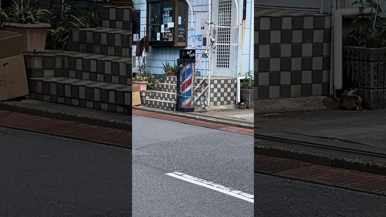 少し背の低いサインポール　サロンマスカワ#barberpole #床屋さん#美容室#くるくる#shorts