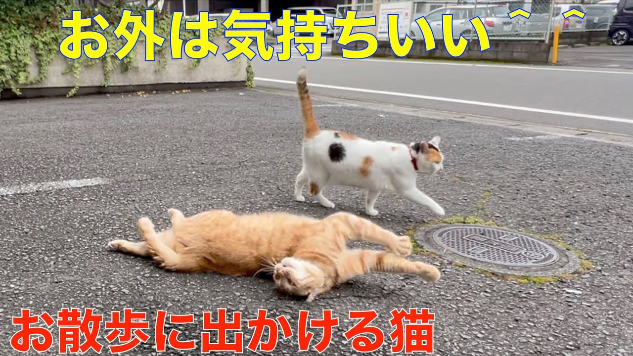 ホーチミンから船で2時間のリゾート地ブンタウに行ってきたよー〜シーフード美味しすぎた〜