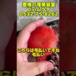 豊橋市　美容室　　理髪店床屋　　理美容師　#shorts #訪問理美容