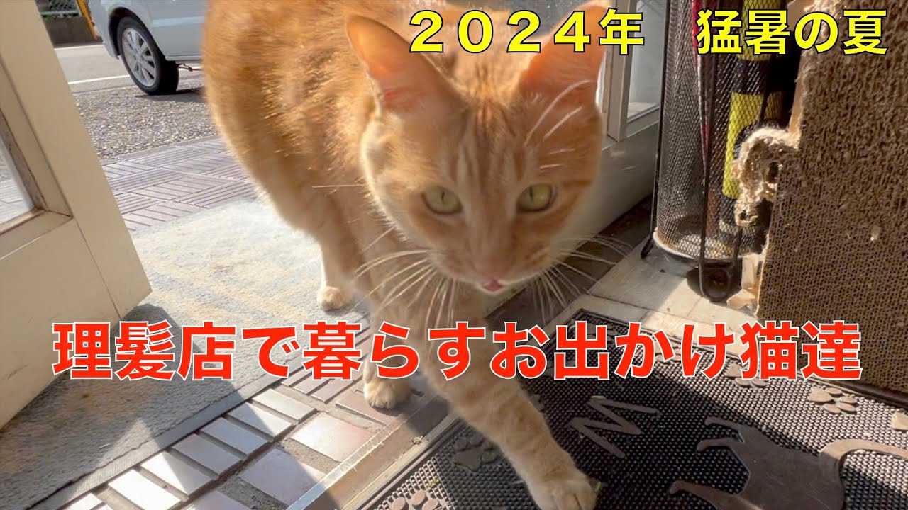 the Japan 理髪店のポール