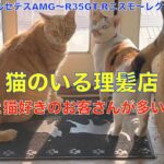 猫達が暮らす理髪店に、かっこいい車に乗ったお客さんが、多く来客する床屋🤭猫と車好きのお客さんが多い店。😅猫好きのお客さんのお車を、数台紹介！