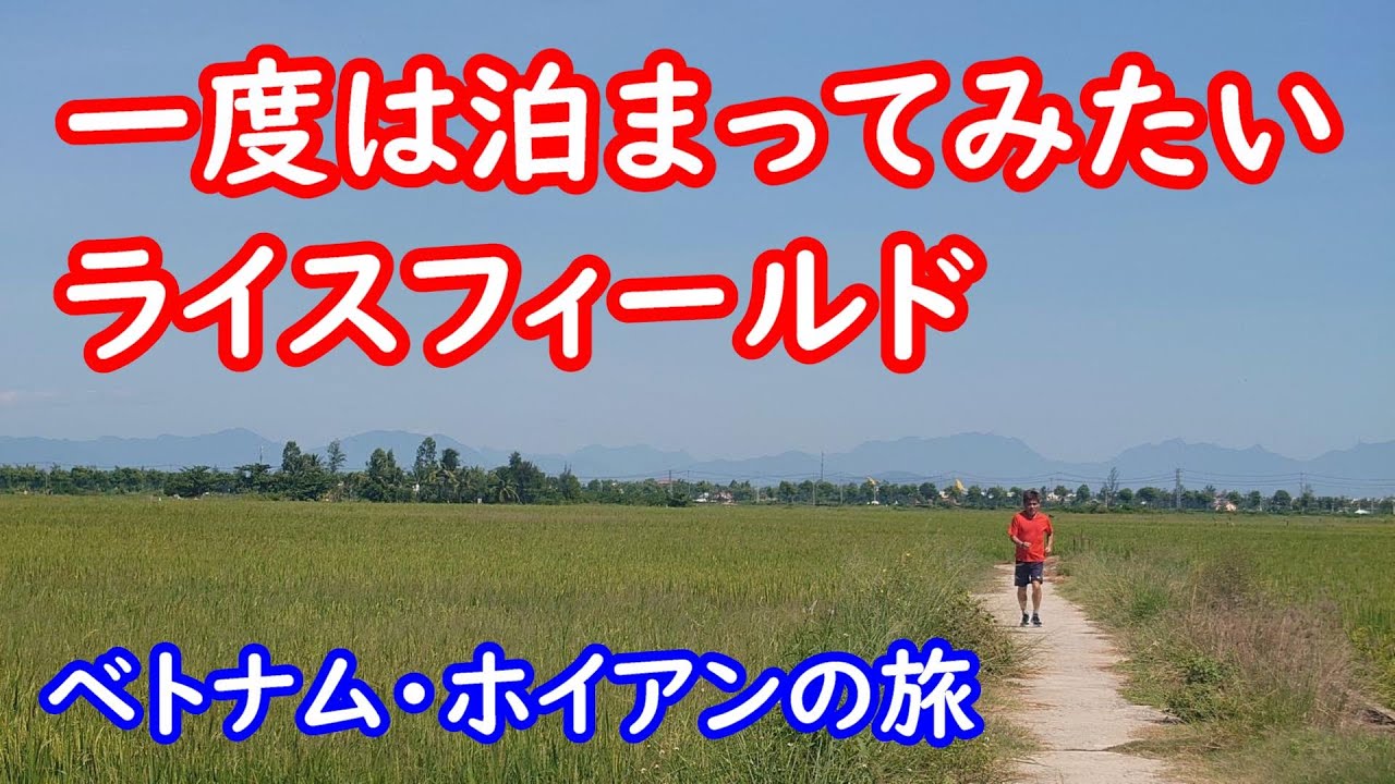 【頑張れない50代】秘密にしたかったフエの5つ星ホテル！グエン朝王宮見学、klookバスツアー、メリア・ヴィンパールホテル。2024年8月ベトナム旅行 #フエ #ベトナム旅行 #ベトナムホテル #円安