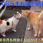 理髪店で暮らす猫達 ２０２４年９月！😼今日も元気に仲良くおでかけ〜