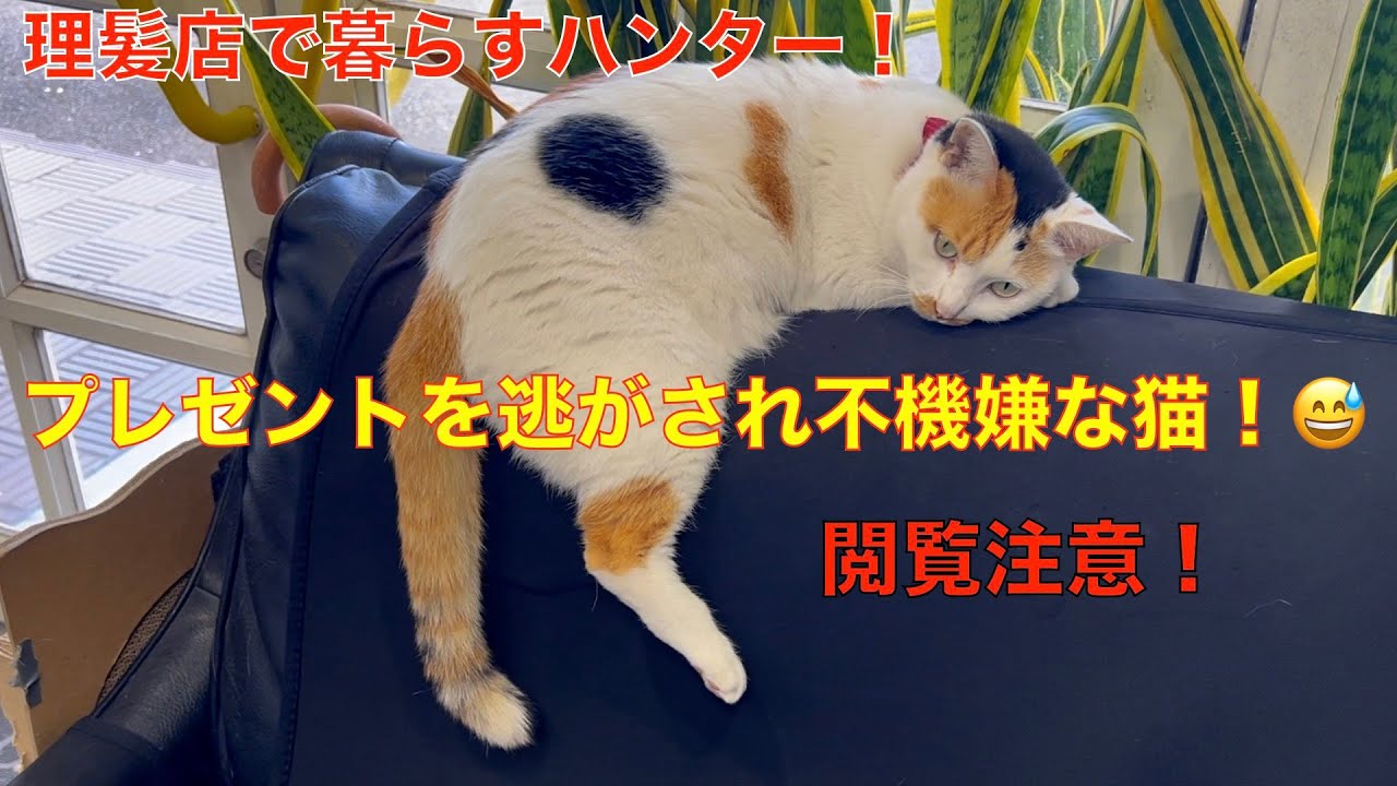🇻🇳【ガルバ探訪＃7】ベトナム・ホーチミンのレタントン日本人街のコンカフェ　あるこほりっくへ！