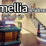 カメリア #ハイバーチュン 東屋ホテル近く #サービスアパート Camellia Residence Hanoi