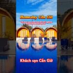 Review Khách sạn Cần Giờ  | Chiếc view cực xịn  Ruby homestay Cần Giờ #dulich #khampha #hotel