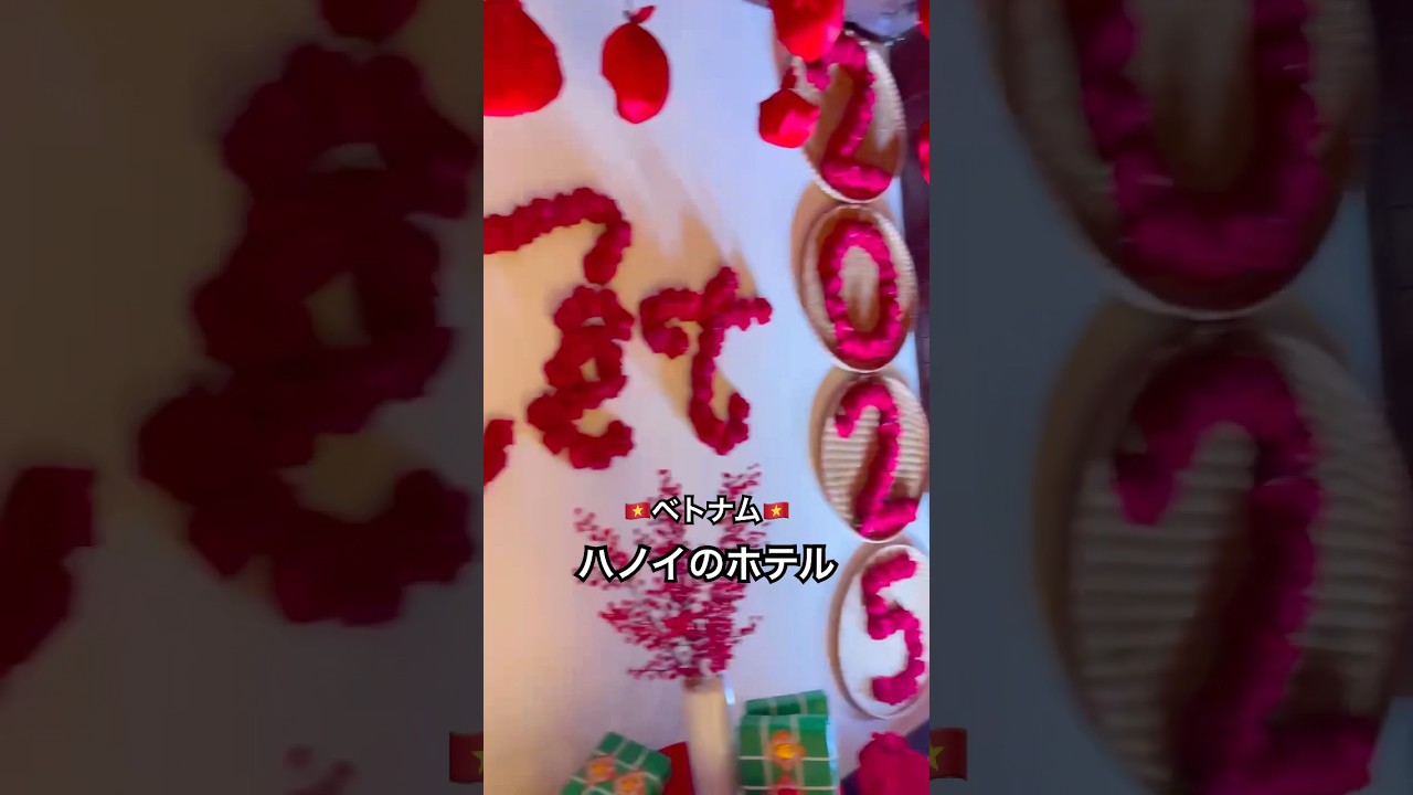 2024ベトナム親子旅 ダナン・ホイアン6泊8日PART8 ホイアンのホテル（Grand Sunrise Palace Hoi An)でまったりと！