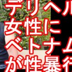 2024年【不良外国人-ベトナム人犯罪】静岡県浜松市のラブホテルで派遣型風俗店の女性に無理やり性交…ベトナム国籍の男を逮捕　行為は認めるも「同意があった」と主張！？不良外国人による犯罪、ベトナム人犯罪が増大