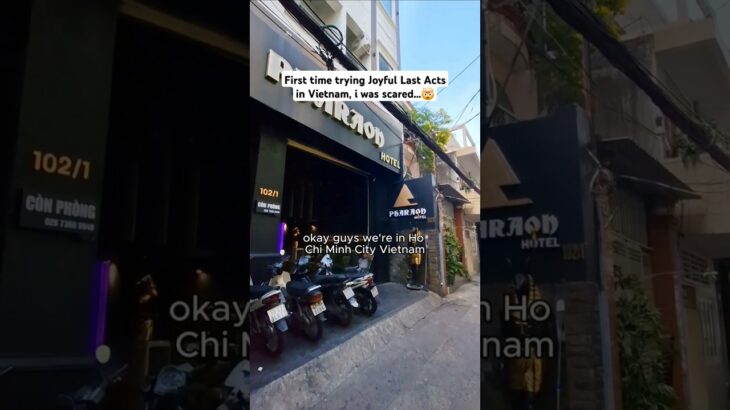 Checking out ❤️ theme Hotel in Vietnam…🤯😵 📍; Ho Chi Minh City, Bui Vien, Pharoah 2 Hotel