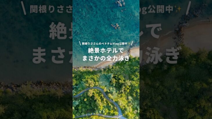 【ベトナムVlog】関根りささんがNEWTでベトナムへ！絶景ホテルに宿泊✨️ #newt #旅行 #海外旅行 #ベトナム #関根りさ