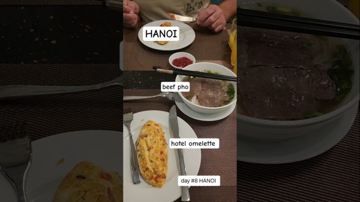 HANOI : day 8 : hotel breakfast, editing, air con malfunction