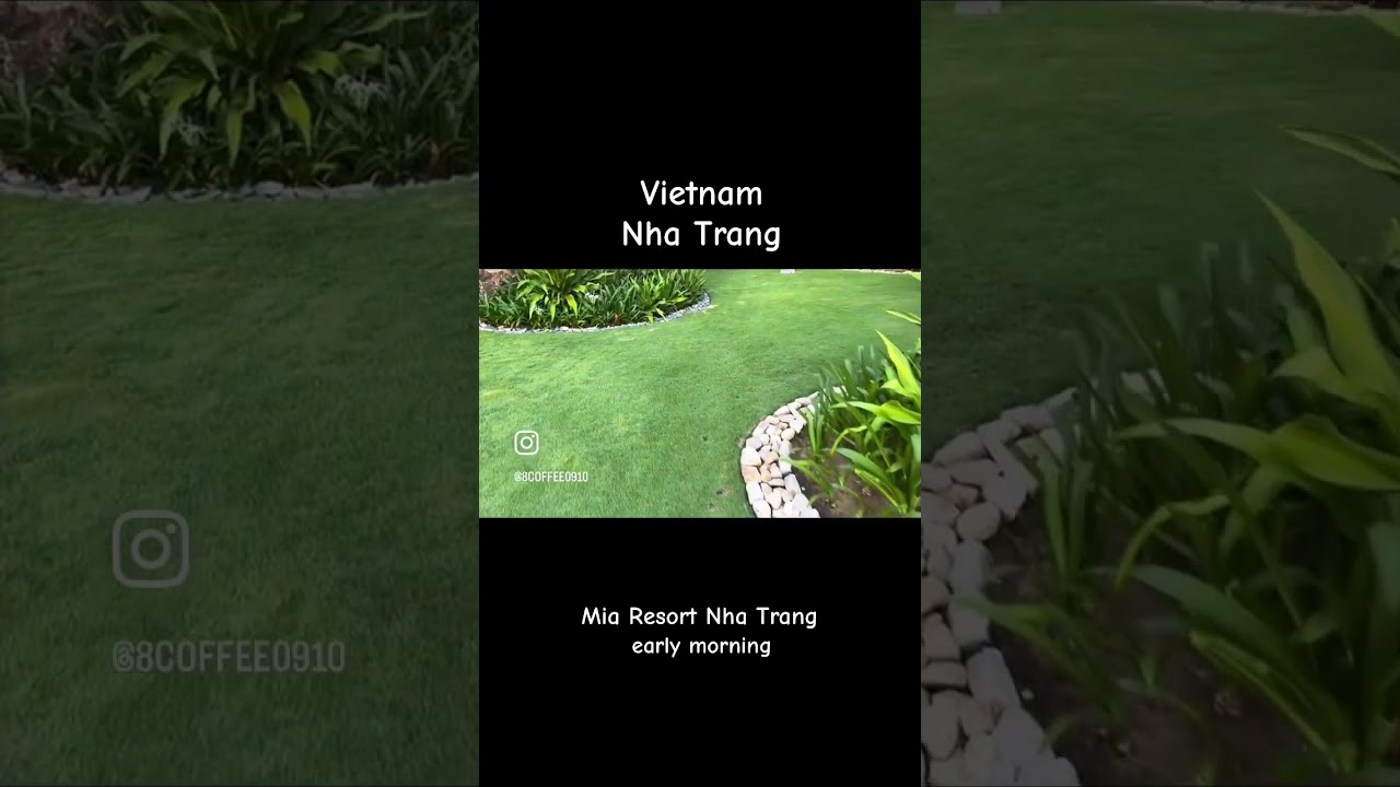 【ベトナム ニャチャン】５つ星ホテルMia Resort Nha Trang  早朝散歩　過去旅 #trip #vietnam#resort#ニャチャン#リゾート＃ミアリゾートニャチャン #旅行