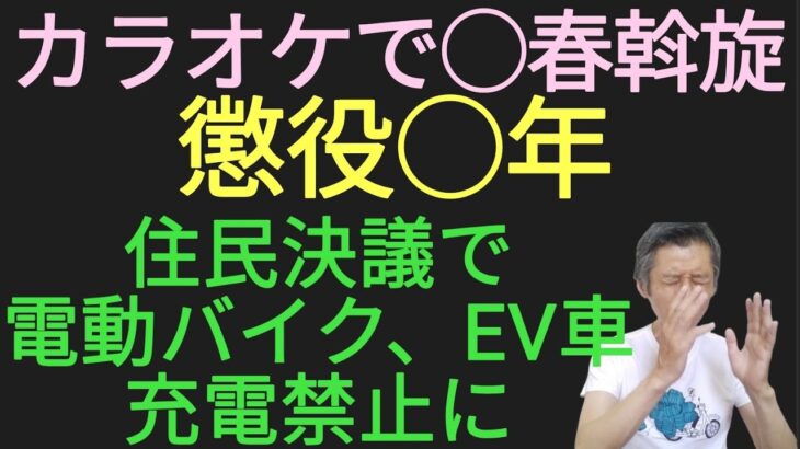カラオケで◯春斡旋で懲役◯年、住民決議で電気自動車、電動バイク駐輪禁止に　#ベトナムビジネス