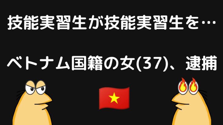 技能実習生が技能実習生を刃物で……ベトナム国籍の女を逮捕