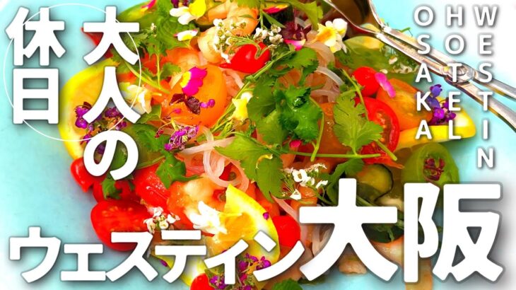 大阪高級ホテル無料宿泊特典マリオットボンヴォイアメックス大改悪どうする？
