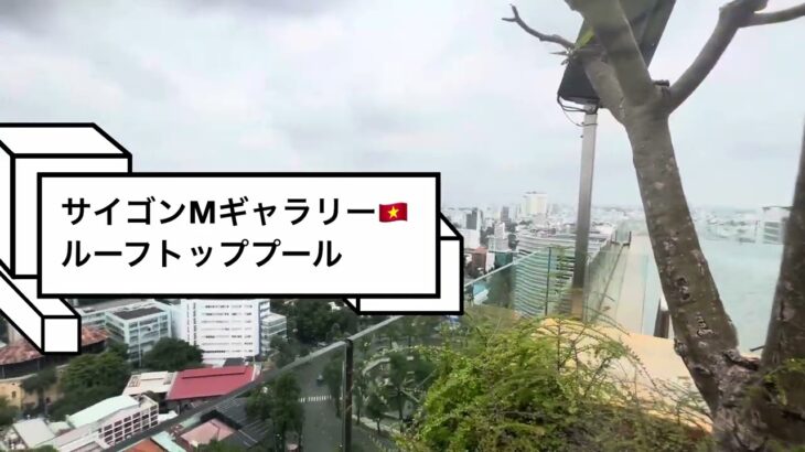 ホテルデザール　サイゴン　Ｍギャラリー　コレクションのルーフトッププール　(HOTEL　DESARTS　SAIGON　MGALLERY　COLLECTION) Rooftop Pool