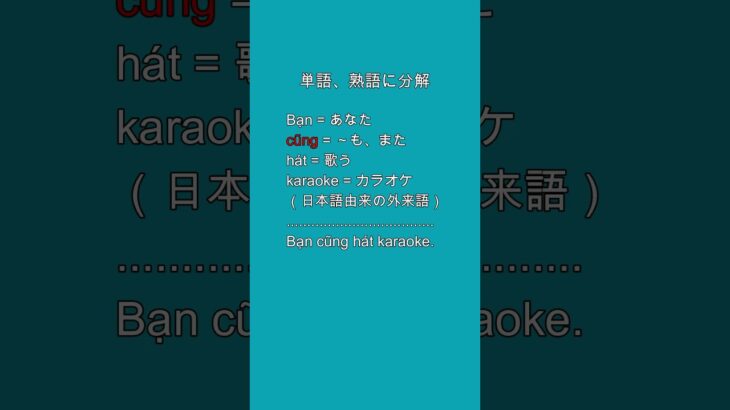 使えるショート | ベトナム語 | 04 | cũng + V |  ～も～します #ベトナム語入門 #ベトナム語入門