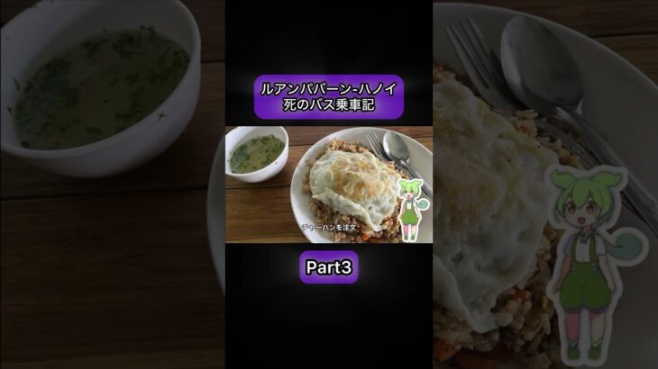 2024年ラオスからベトナムまで28時間バスに乗った話 #ラオス #ベトナム