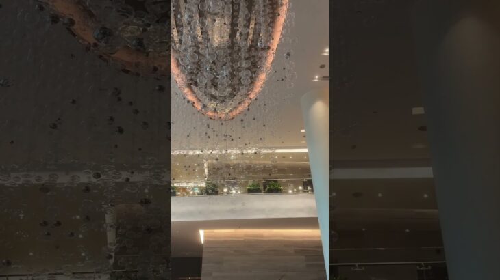 Nice ambience, great company✨ #travel #travelvlog #holiday #hotel #traveling #happy #viral #saigon