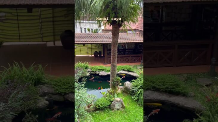 하노이사파 숙소 추천 hanoi sapa hotel #hanoi #vietnamsapa #sapatrip #hanoisapa #vietnamtravel  #hotelstyle