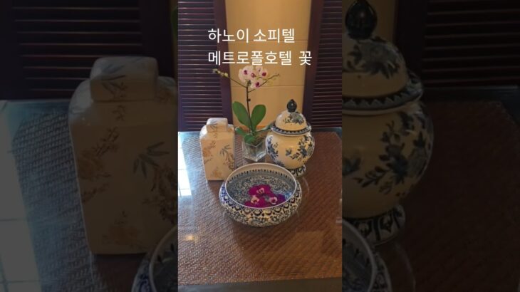 하노이 소피텔레전드 메트로폴호텔 로기.커커피솦 꽃장식#하노이호텔 #소피텔 #소피텔레전드메트로폴호텔 #베트남하노이
