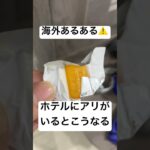 ベトナム🇻🇳のホテル#ホテル #海外あるある #ベトナム#youtube初心者 #初投稿 #大学生 #危險 #アート