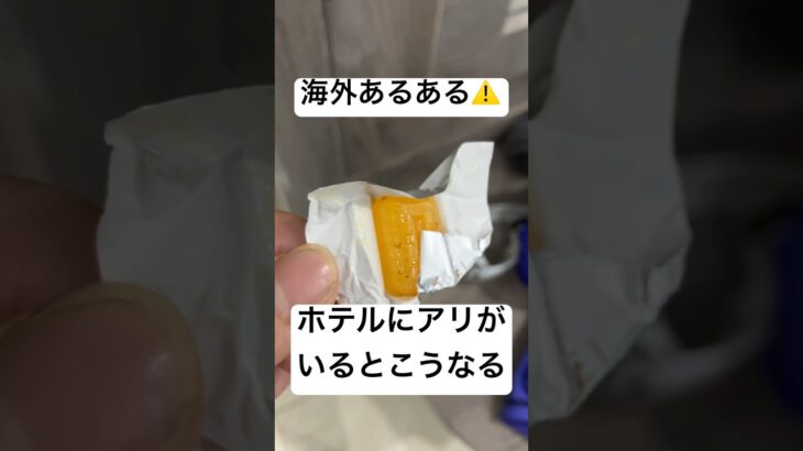 ベトナム🇻🇳のホテル#ホテル #海外あるある #ベトナム#youtube初心者 #初投稿 #大学生 #危險 #アート