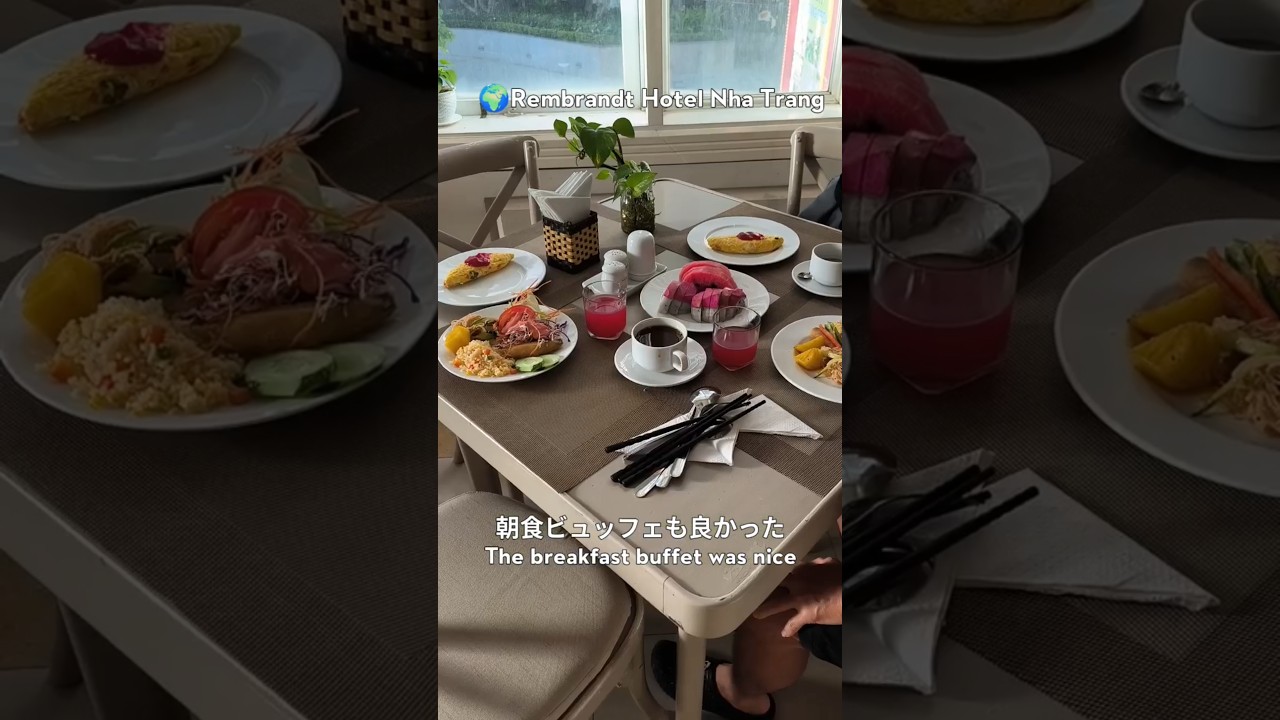 【ベトナム】朝食付2500円ホテル！ダラット→ニャチャン移動が神コスパ🇻🇳$17 Hotel! Vietnam Trip from Da Lat to Nha Trang #ベトナム旅行