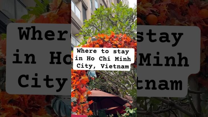 Where to stay-HO CHI MINH CITY,Vietnam #shots #hotels #vietnam #placestostay #viralvideo #hochiminh